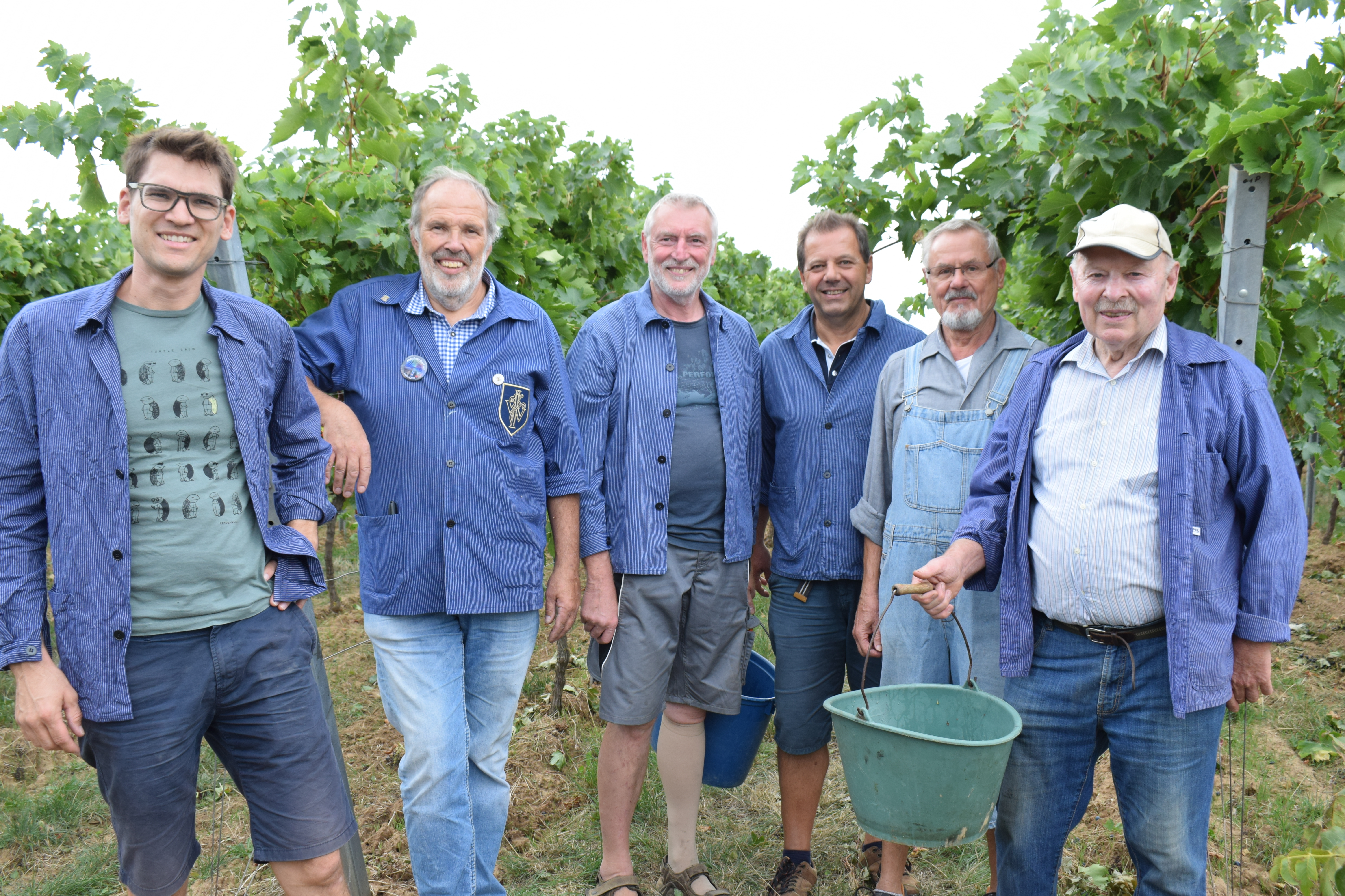 (v.l.n.r.): Martin Braun vom Weingut Braun, Edgar Römelt, Jochen Gleich, Werner Schmid, Rainer Zepke und Walter Weinert (Leisböhler WeinKultur Haßloch e.V.)