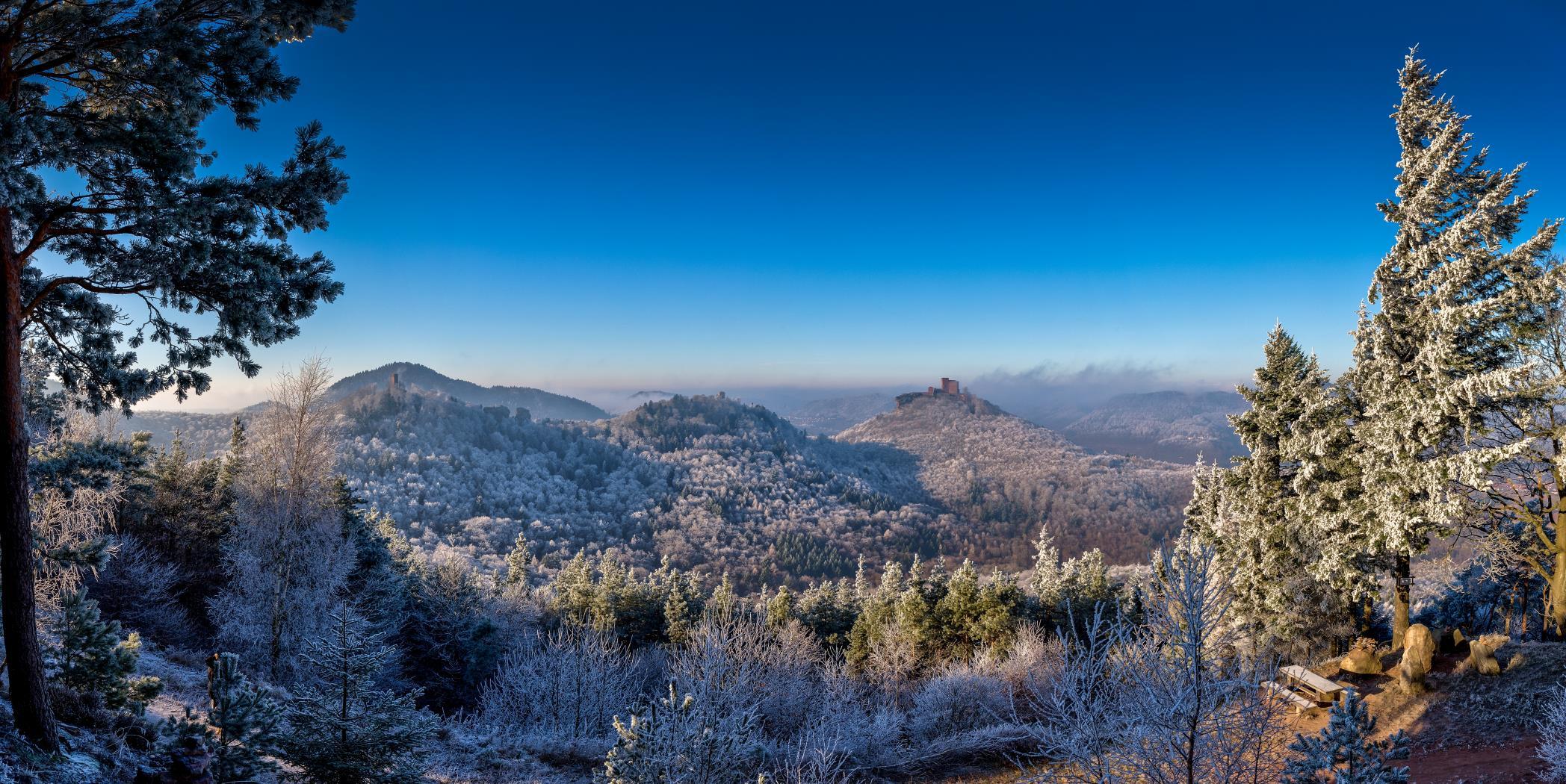 Der Pfälzer Wald zur Winterzeit