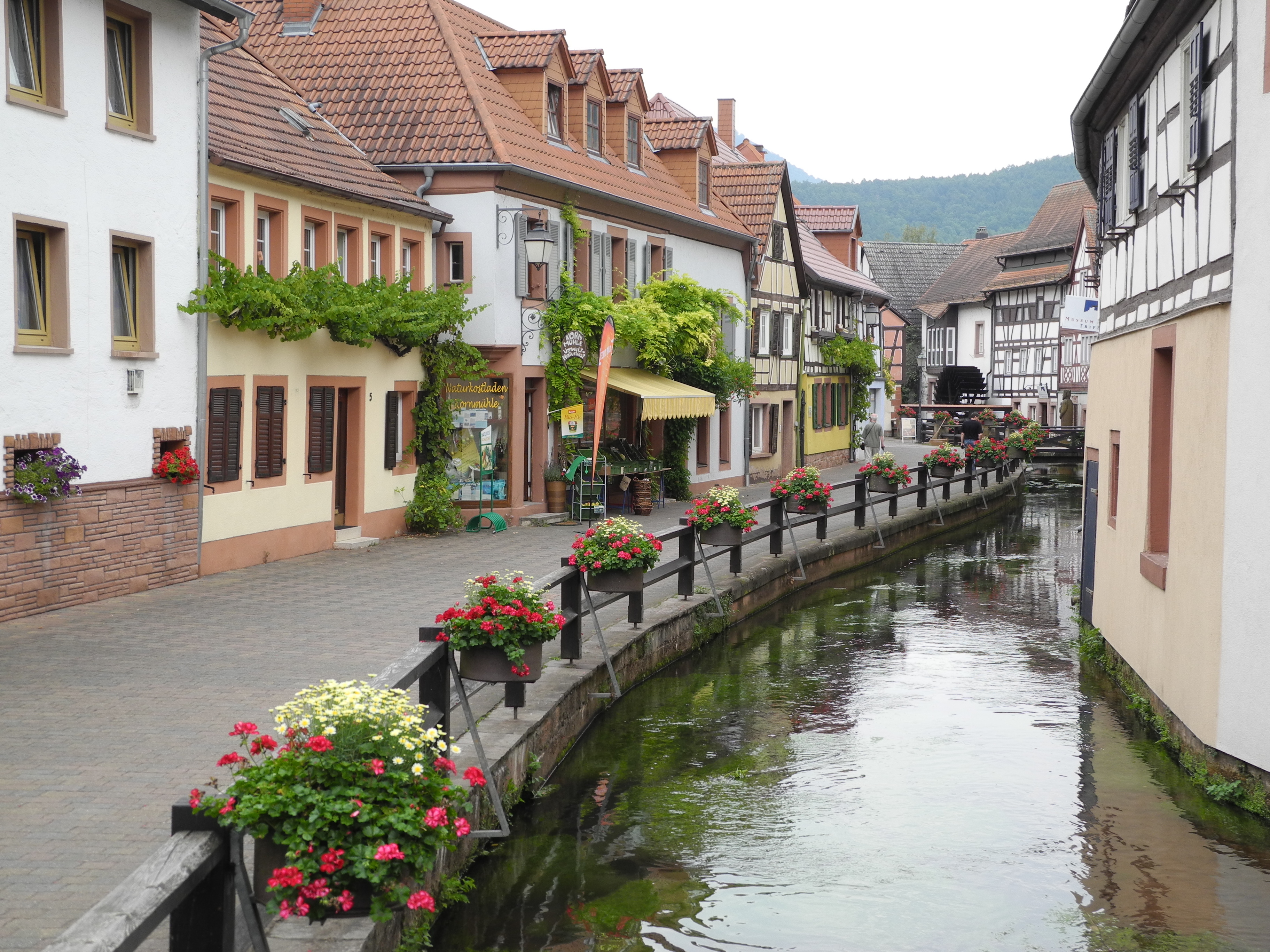 Die idyllische Wassergasse in Annweiler.
