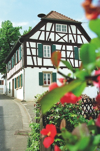 Es wird gefeiert