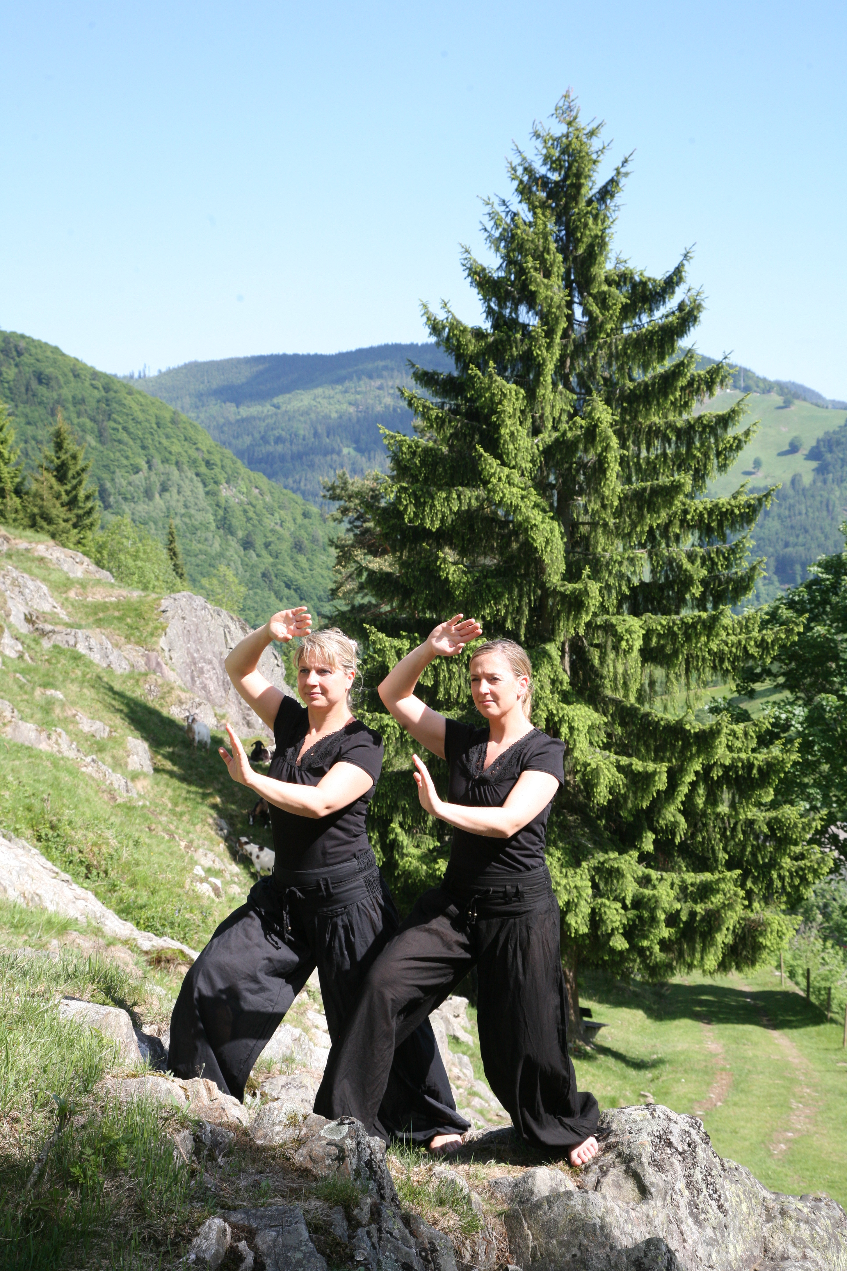 Tai Chi unter freiem Himmel in Österreich
