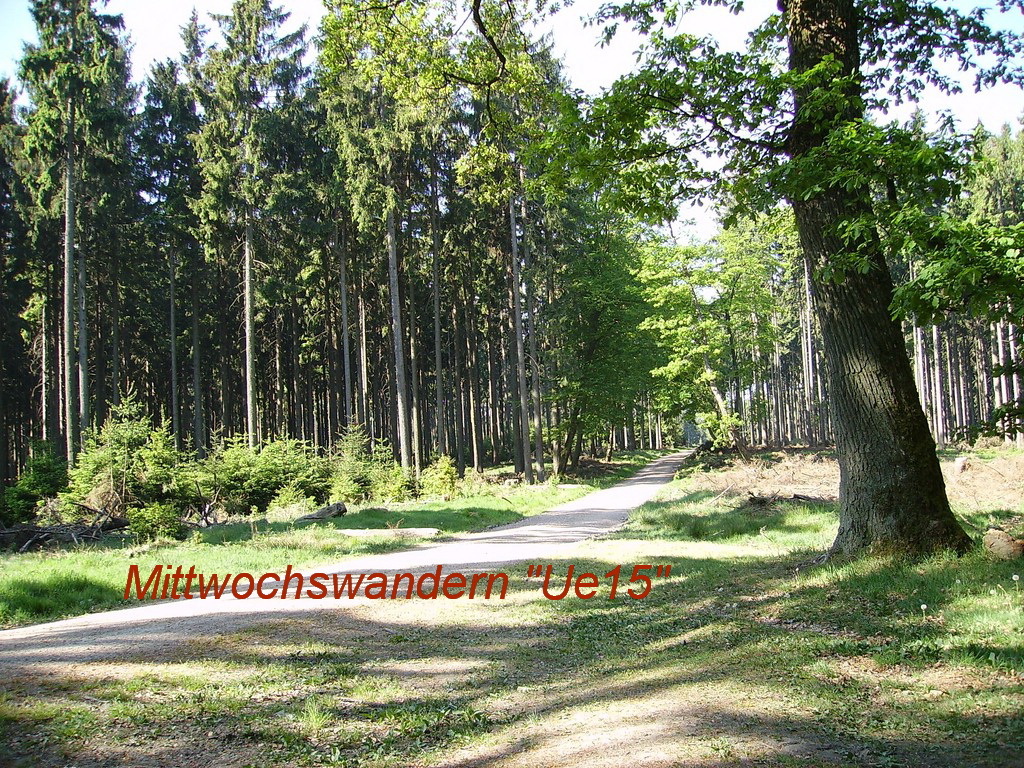 Foto: I. Schüler