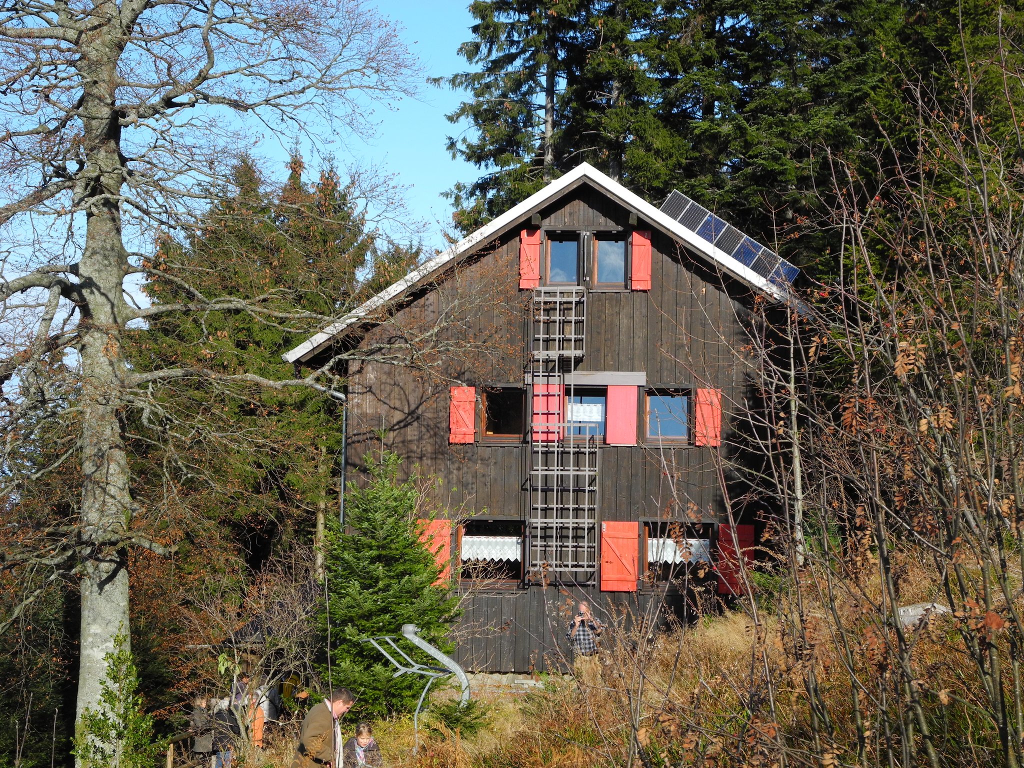 Brasil visual data 5