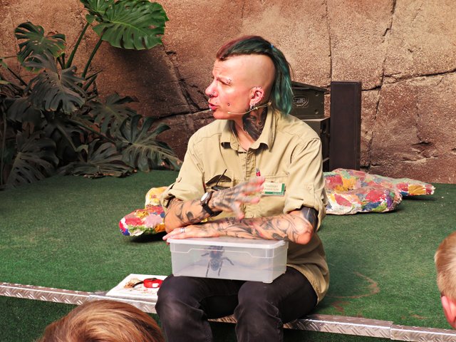 Moana Sütel (Tierpflegerin) mit Vogelspinne | Foto: Brigitte Melder