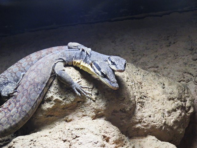 Liebe ist, sich so herzlich zu umarmen | Foto: Brigitte Melder