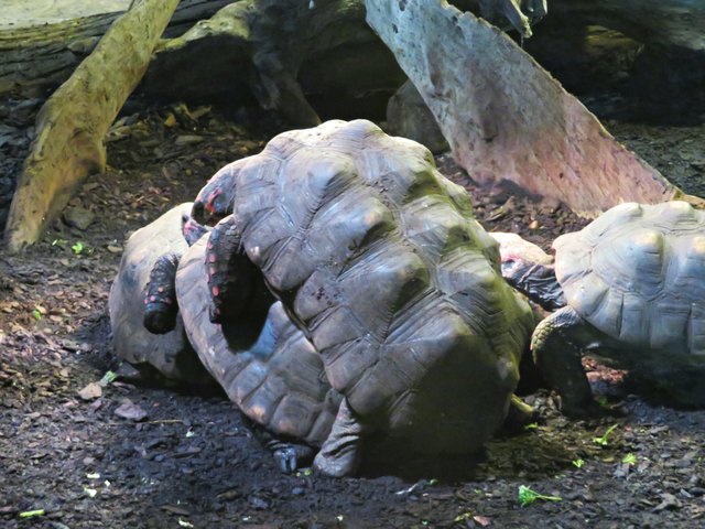 Hier ging die Post ab ;-) | Foto: Brigitte Melder