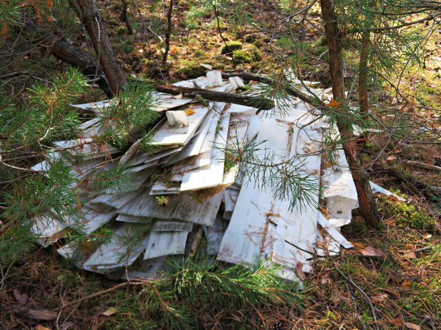 Dachte, da hätte jemand seinen Müll im Wald entsorgt | Foto: Brigitte Melder