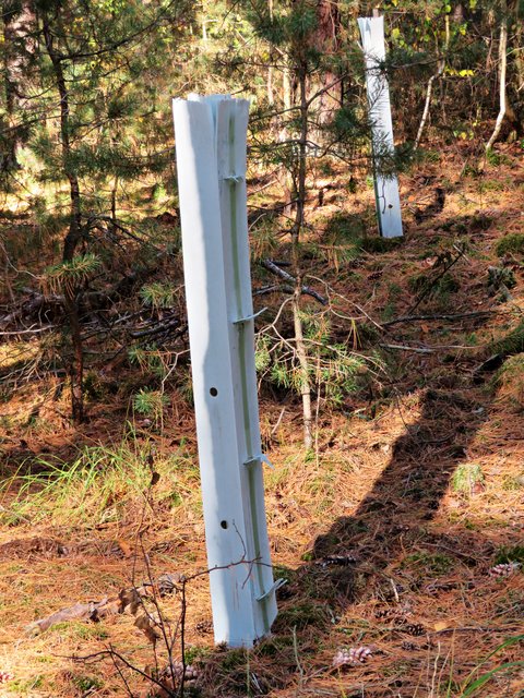 ..... aber nein, das ist wohl eine Schutzhülle für junge Bäume | Foto: Brigitte Melder
