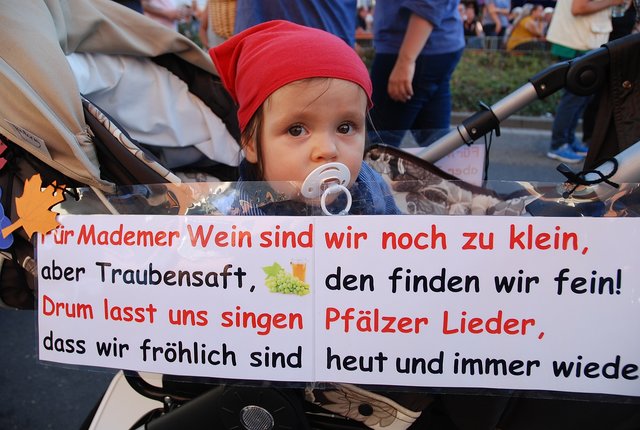 Für den Mademer Wein noch zu klein?  | Foto: Pacher