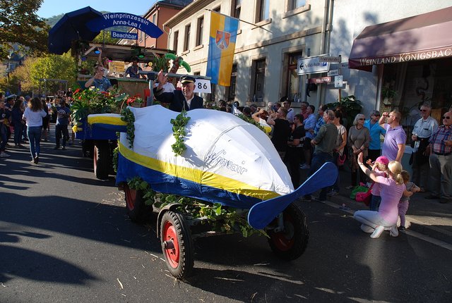 Der Beitrag der Landjugend Maikammer stand unter dem Motto "Wineair - Streikfrei mit Flair". Dafür gab's den 2. Preis des Landkreises Südliche Weinstraße. | Foto: Pacher