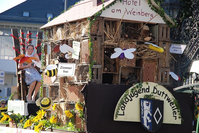 Die Landjugend Duttweiler mit ihrem grandiosen Insektenhotel erhielt den Ehrenpreis des Globus Handelshof St. Wendel, Betriebsstätte Neustadt. | Foto: Pacher