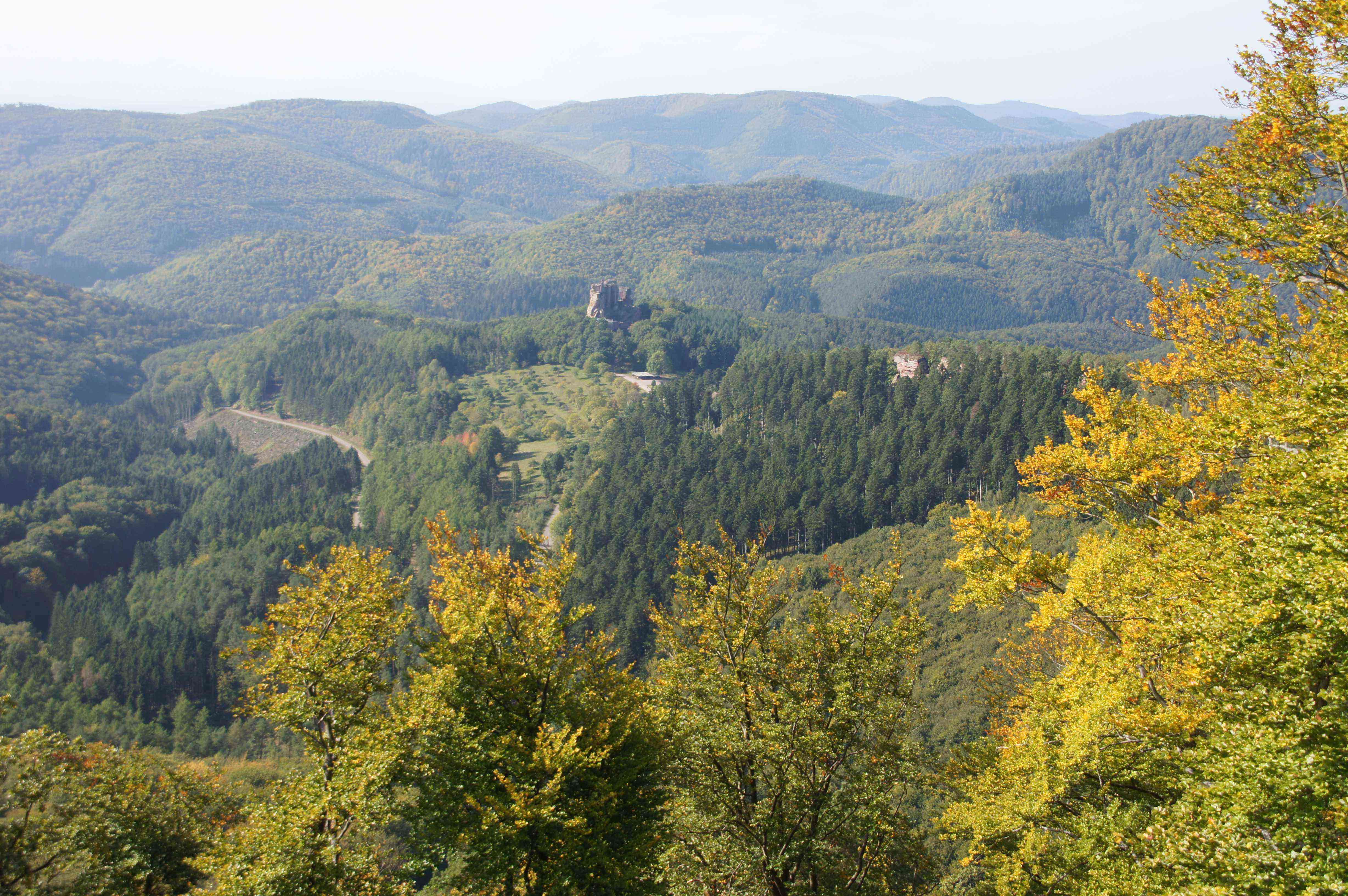 Endlose Wälder und die Ruine Fleckenstein Foto: Wanderarena Südwestpfalz / ps