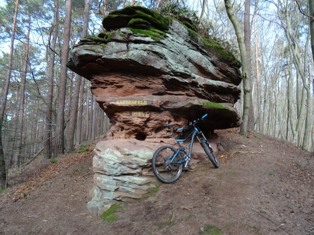 Foto: O. Bernstengel