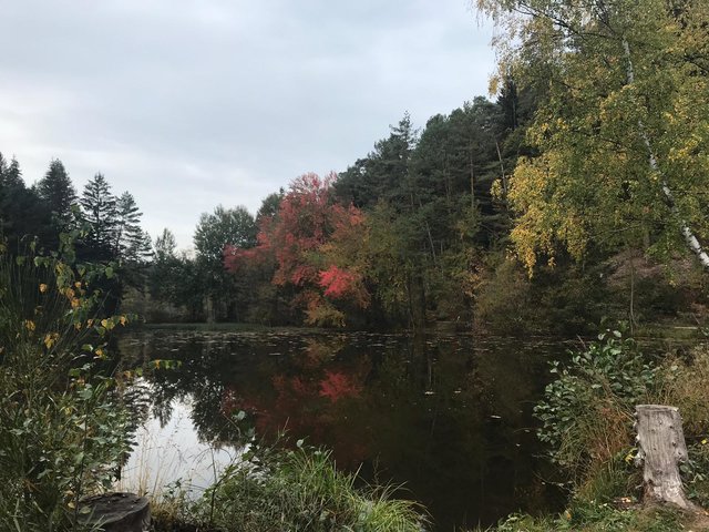 Moosbach | Foto: Vanessa Sainz