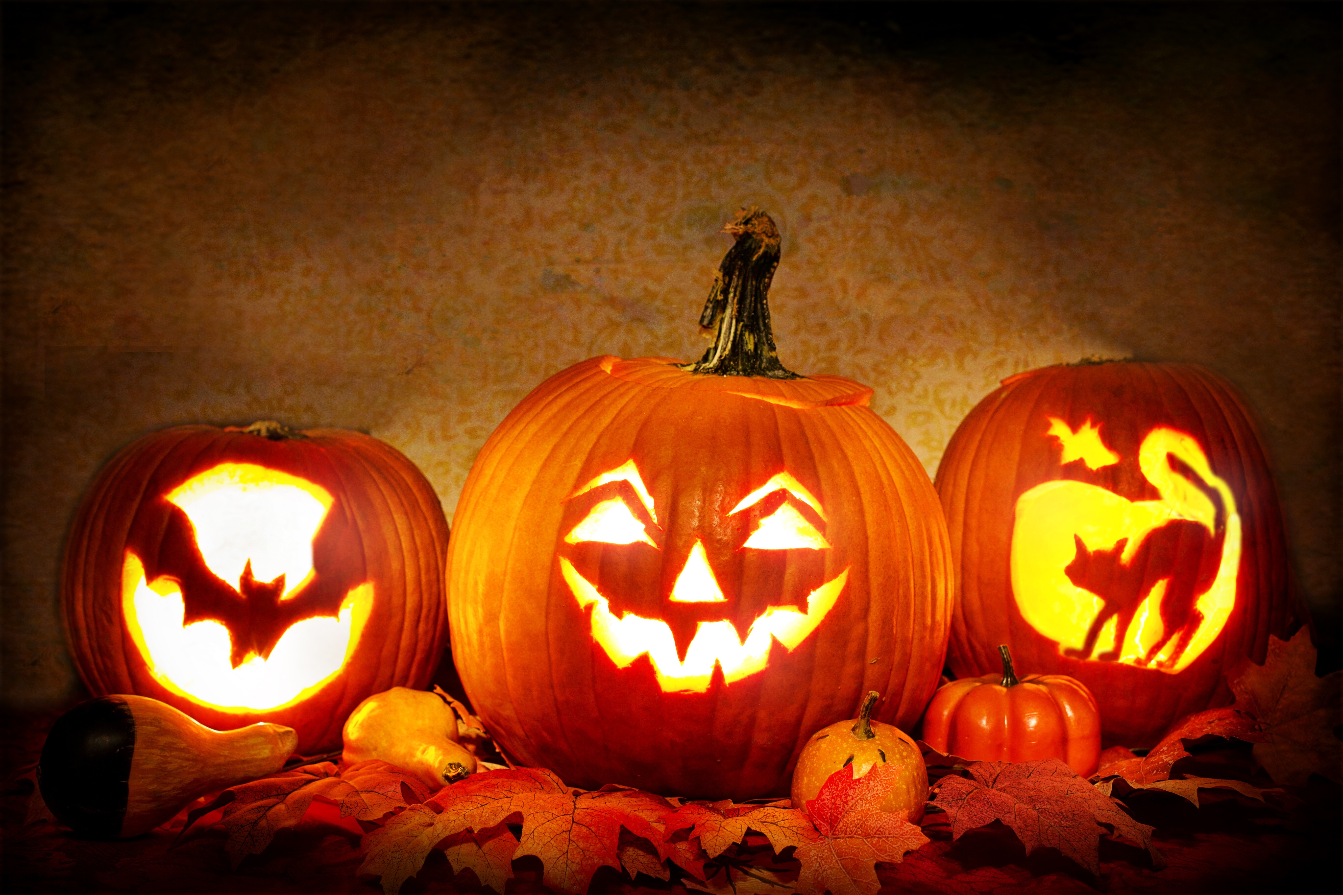 Halloween steht vor der Tür: Das Wochenblatt verlost Eintrittskarten für den Holiday Park.