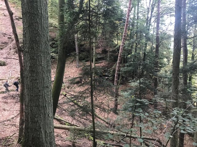 Es ging hoch hinaus | Foto: Vanessa Sainz