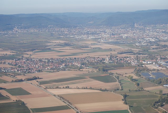 Lachen-Speyerdorf. | Foto: Pacher