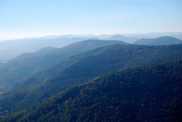 Pfälzer Wald. | Foto: Pacher