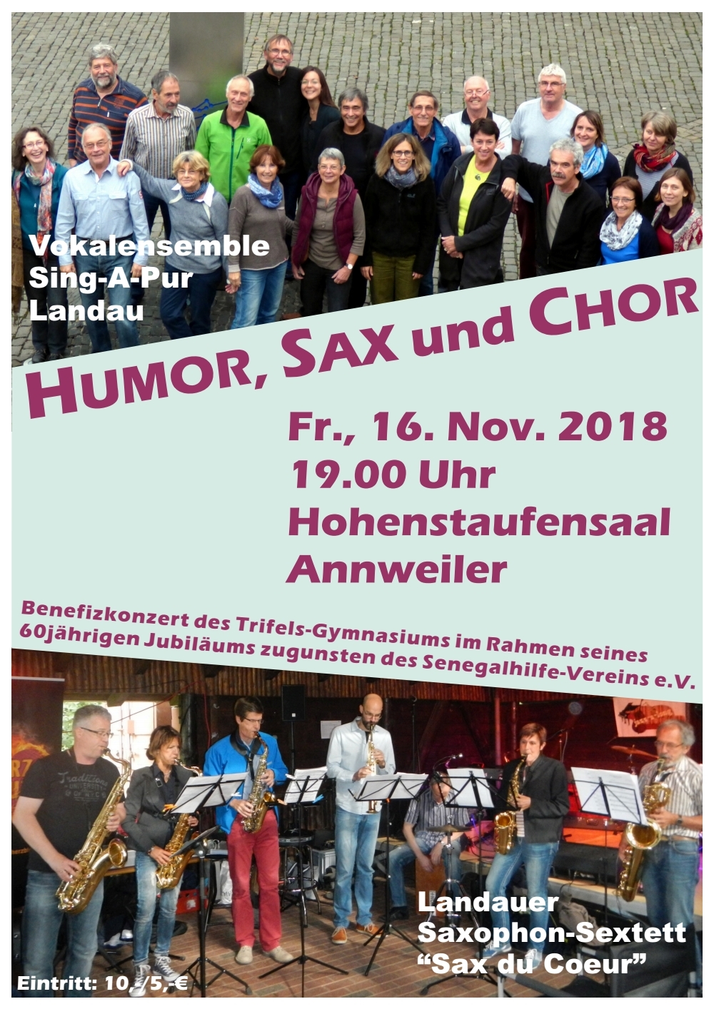 Das Landauer Saxophon-Sextett „Sax du Coeur“.