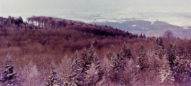 ein wahres Winterparadies (wenns Schneit)