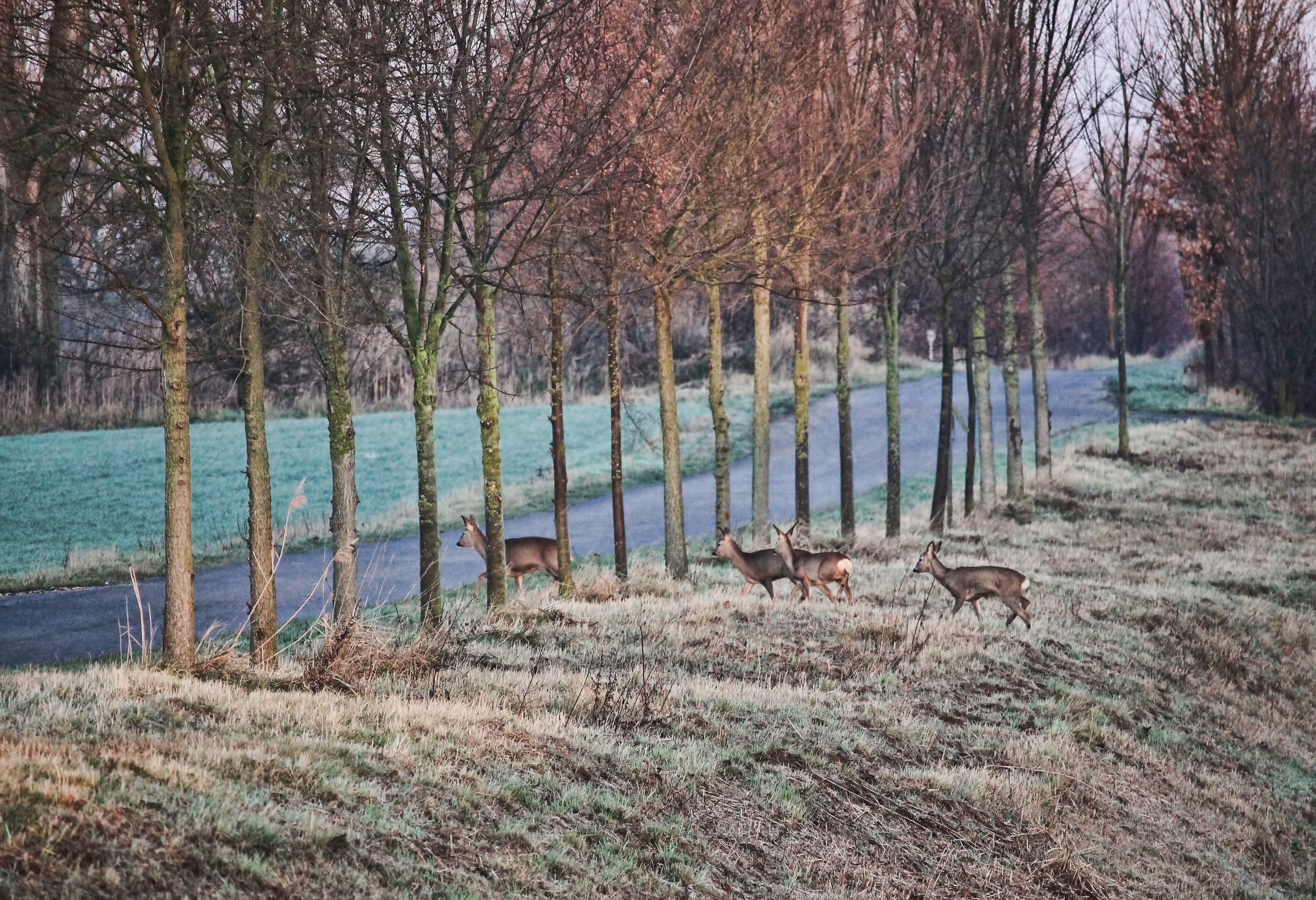 Symbolbild (Foto: pixabay)