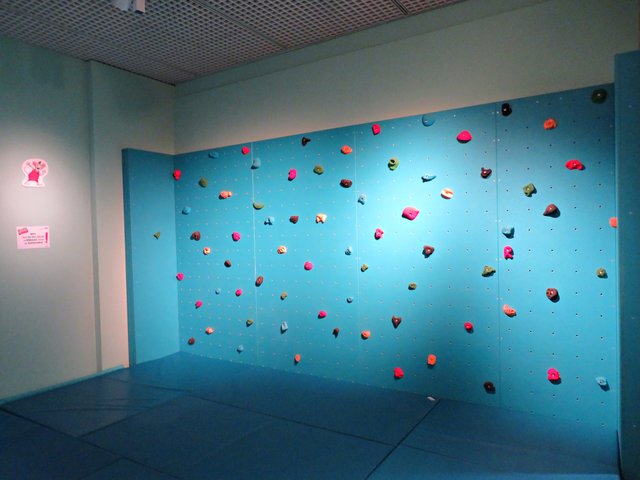 Kletterwand | Foto: Brigitte Melder