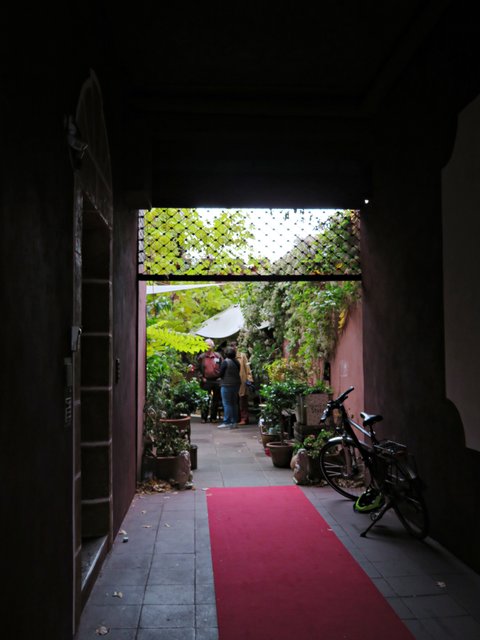 Ankunft auf dem roten Teppich | Foto: Brigitte Melder