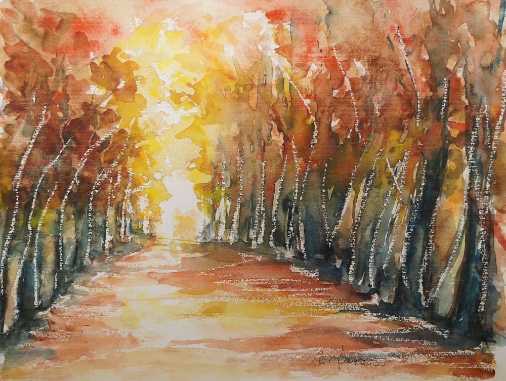 Allee zum Licht