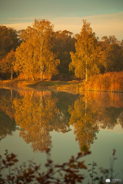 Indian Summer in der Erdekaut