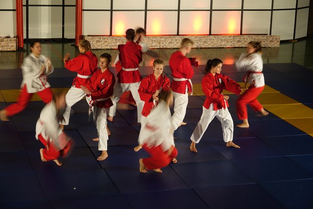 Foto: Petra Rödler