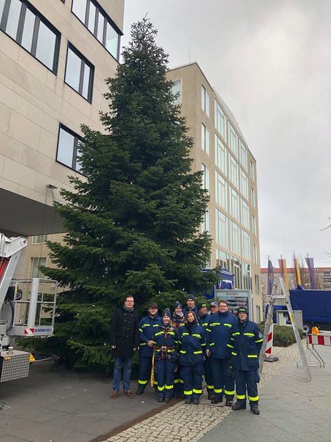 Beim Schmücken vor der Landesvertretung | Foto: Bild: Torbjörn Kartes