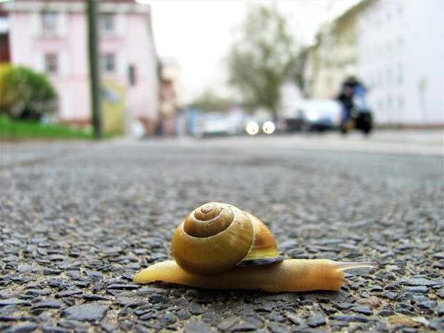 Umweltbewußt Entschleunigen (April)