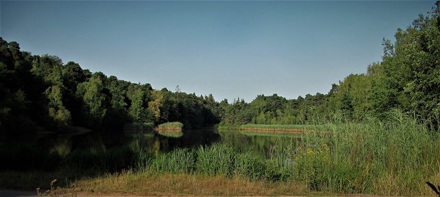 der Vogler...…...einst Strandbad Voglewoog…...heute eine Ruheoase und mehr