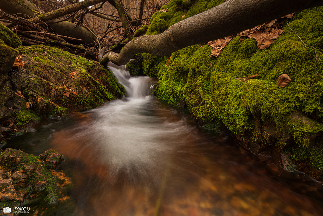 Wildensteiner Bach im April 2018