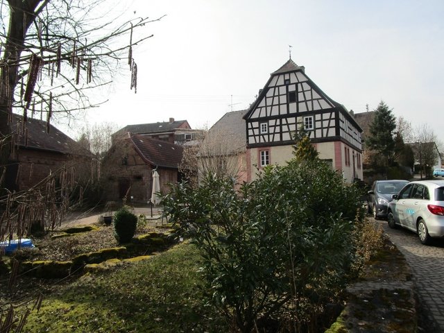 Foto: I. Schüler