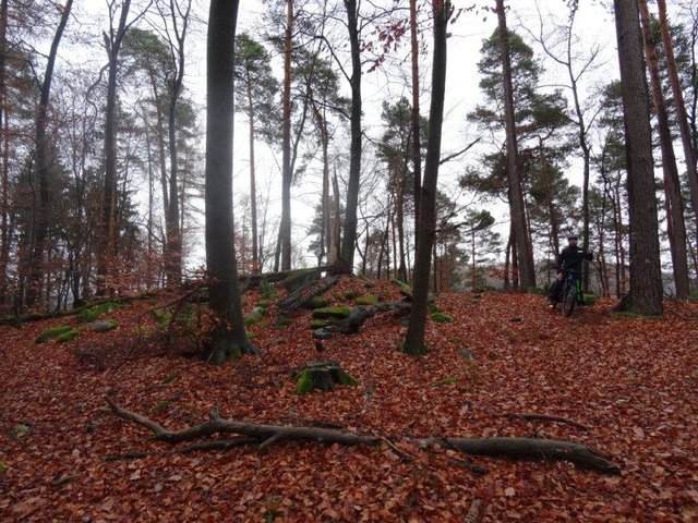 Foto: O. Bernstengel