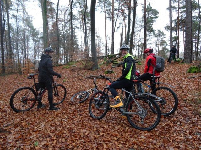 Foto: O. Bernstengel