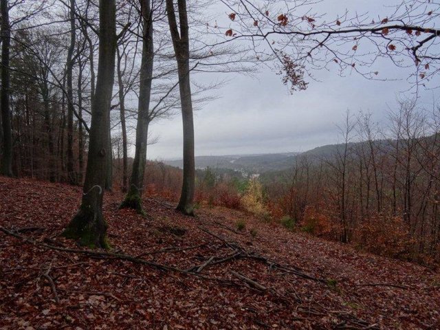 Foto: O. Bernstengel