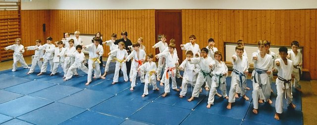 Alle Teilnehmer üben zusammen die grundlegenden Techniken | Foto: ps