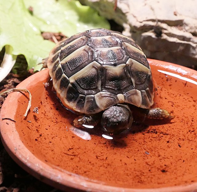 Foto: Brigitte Melder