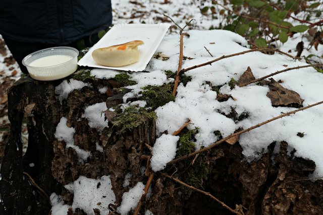 Baumstamm als Abstelltisch | Foto: Brigitte Melder