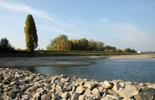 19.10.2018, Blick aus dem Flussbett auf den Schalleckdeich, Pegelstand um 320 cm | Foto: A. Abt