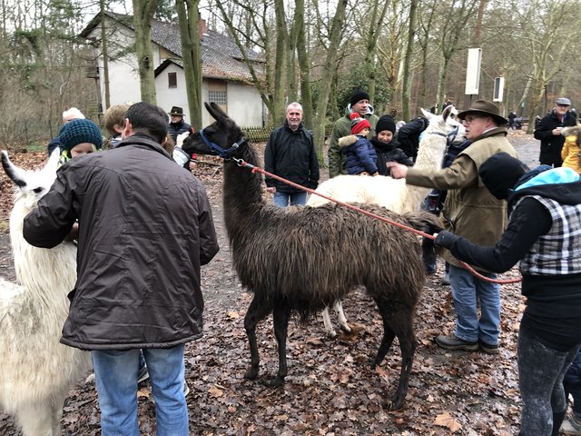 Foto: Bürgerstiftung Mutterstadt