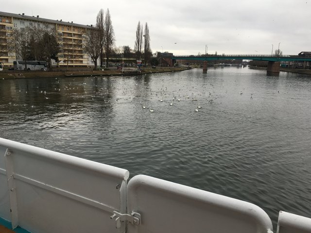 Wendemanöver nach dem Ablegen im Straßburger Hafen.  | Foto: Ulrich Arndt