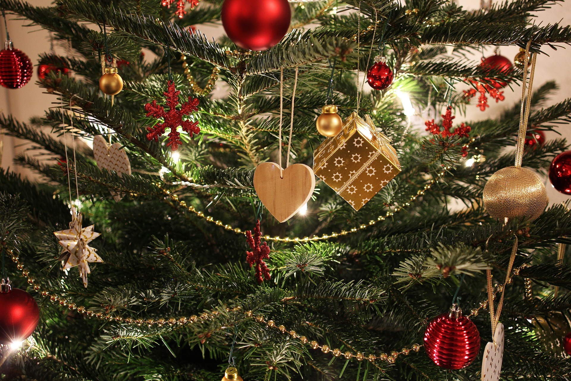 Die Weihnachtsbäume werden in Neustadt wieder an verschiedenen Stellen gesammelt.