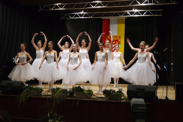Ballett vom Feinsten. | Foto: Bender