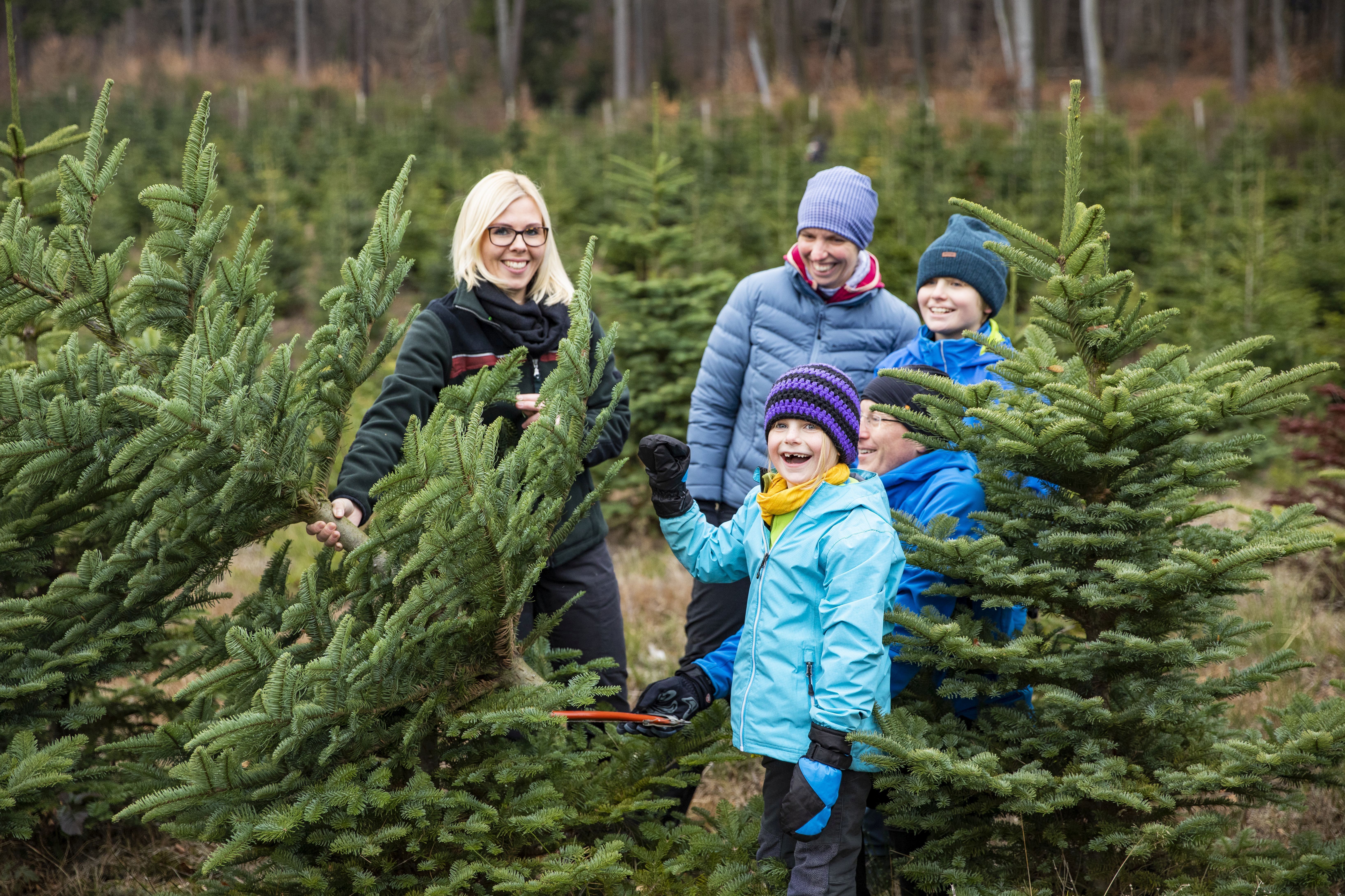 FÖJlerin beim Weihnachtsbaumverkauf