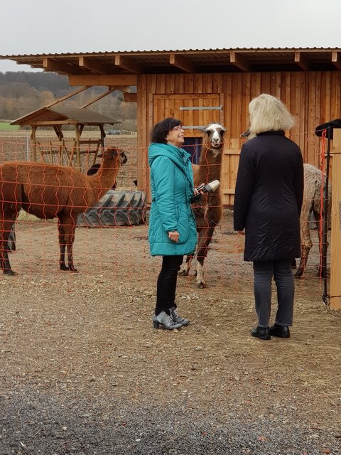 SWR-Reporterin Irene Merkel im Gespräch mit Klinikleiterin Dagmar Köditz bei den Lamas und Alpacas der MiKina während der Aufnahmen für das SWR4 „Morgenläuten“.