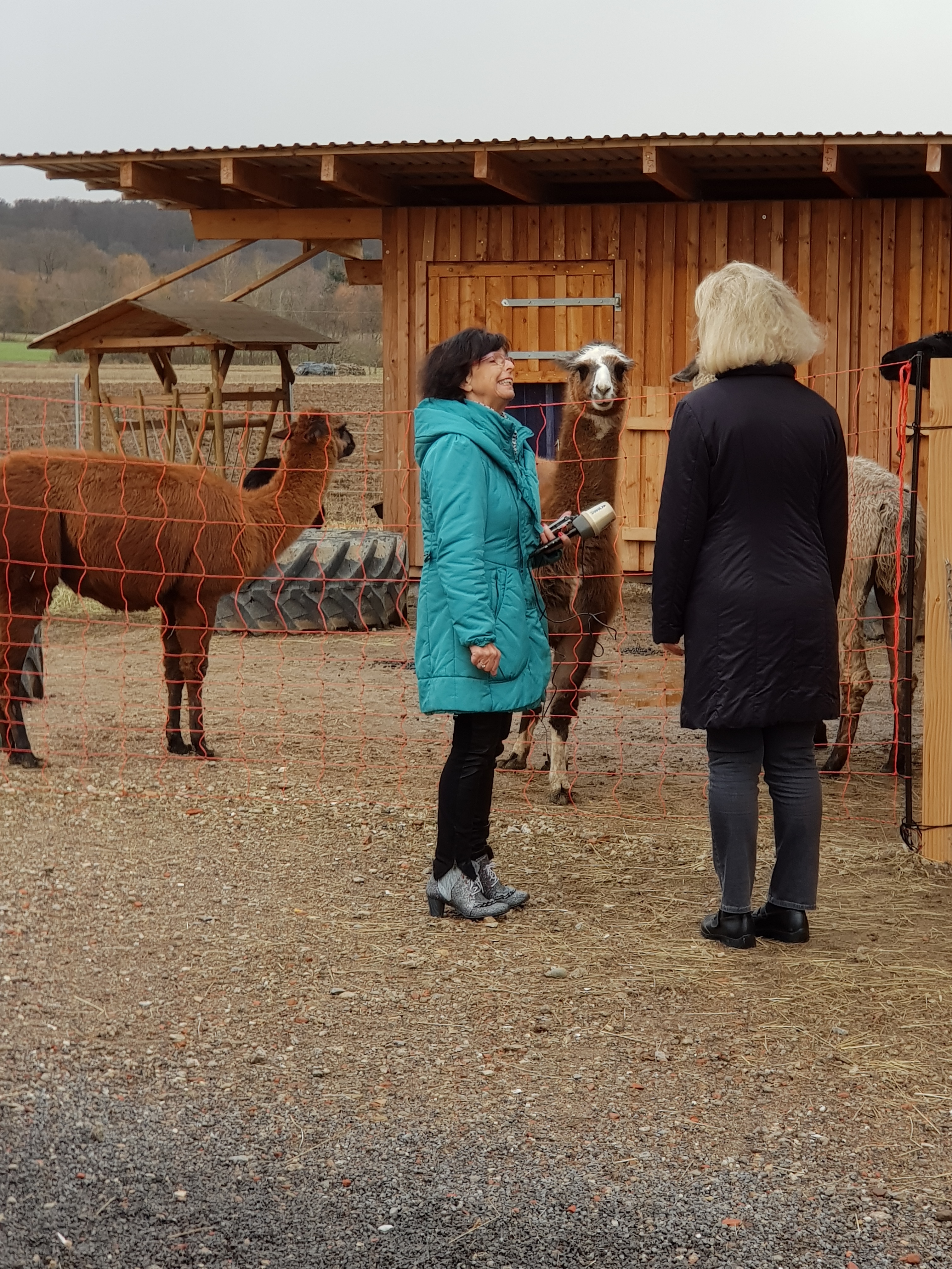 SWR-Reporterin Irene Merkel im Gespräch mit Klinikleiterin Dagmar Köditz bei den Lamas und Alpacas der MiKina während der Aufnahmen für das SWR4 „Morgenläuten“.