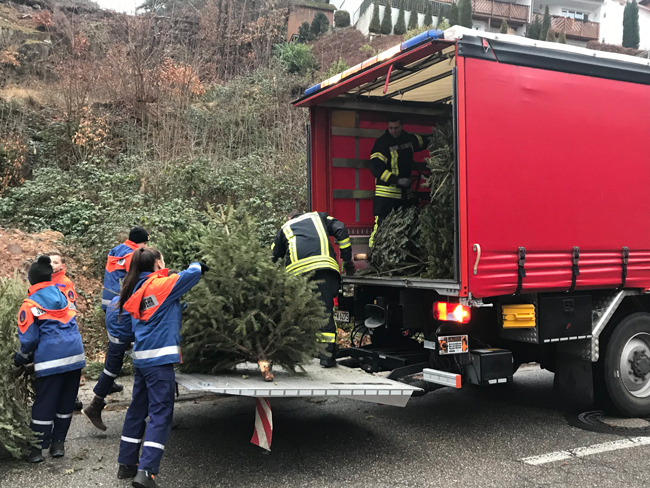 Die Jugendfeuerwehr in Aktion beim einsammeln der Weihnachtsbäume.